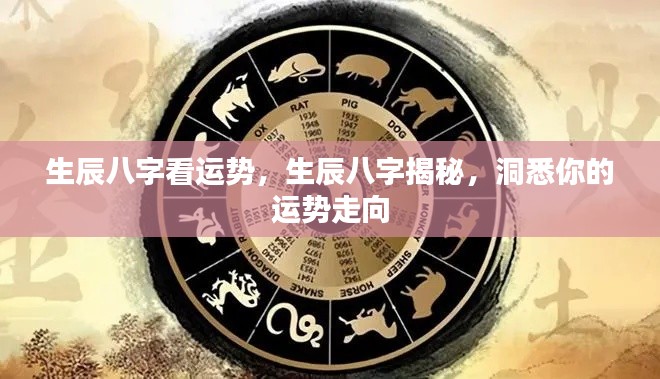 生辰八字解析运势走向,洞悉个人命运走向的秘密