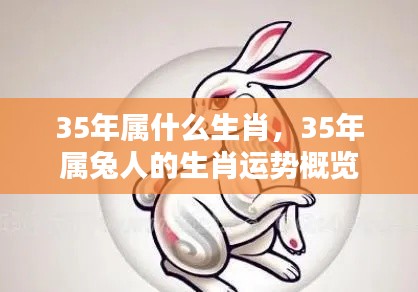 生肖运势解析,属兔人在35岁的生肖运势概览