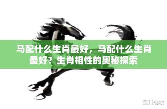 生肖奥秘揭秘,马与哪些生肖最配?