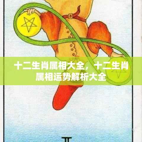 十二生肖属相详解与运势解析大全