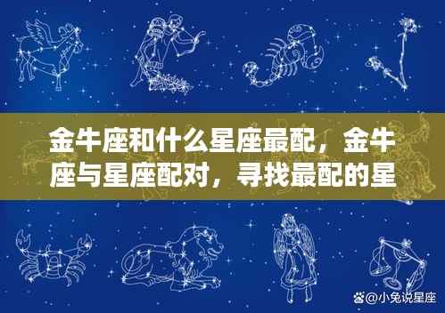 金牛座最佳星座配对伴侣探索,与哪个星座最匹配?