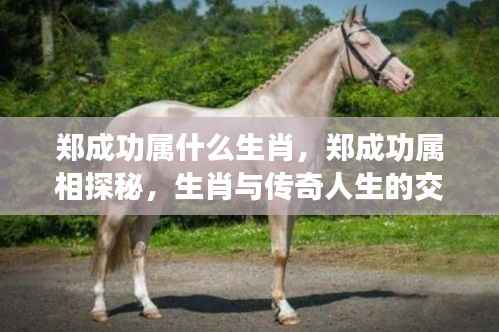 郑成功的生肖与传奇人生，属相探秘与传奇交织之路