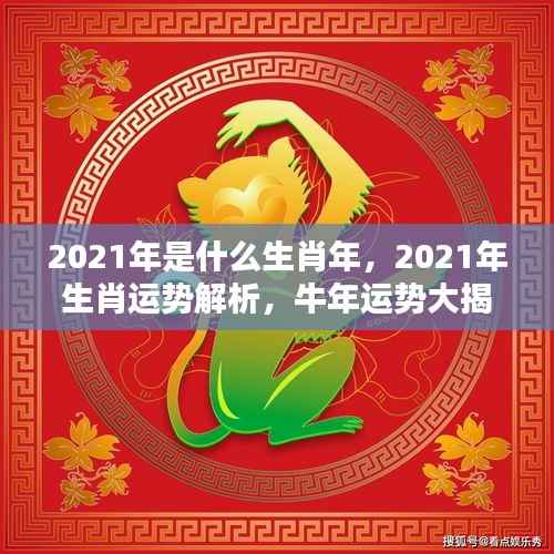 揭秘牛年运势,生肖运势解析与牛年运势大揭秘
