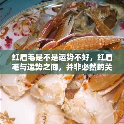 红眉毛与运势,并无必然联系