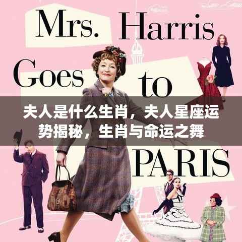 夫人星座与生肖运势揭秘,命运之舞与生肖的秘密