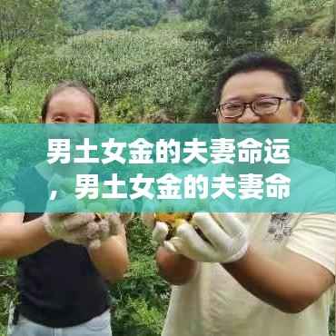 男土女金的夫妻命运,共筑稳定与辉煌的未来