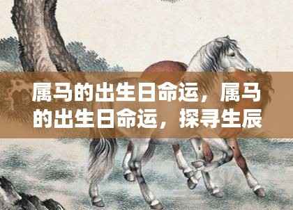 属马人的出生日命运探究,生辰与未来之路的探寻