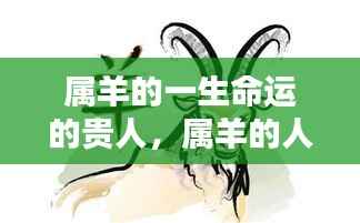 属羊人的命运贵人，生命中不可或缺的支撑力量