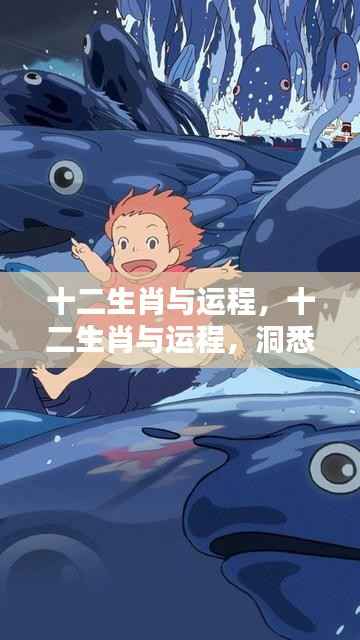 十二生肖与运程,揭秘生肖运势,洞悉未来走向