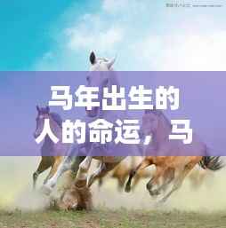 马年出生者的命运展望,如骏马奔腾,命运究竟多舛还是顺风顺水?