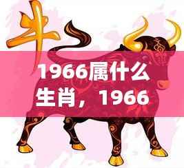 岁月轮回中的机遇与挑战,揭秘属马人在生肖运势中的命运与成长历程(1966年)