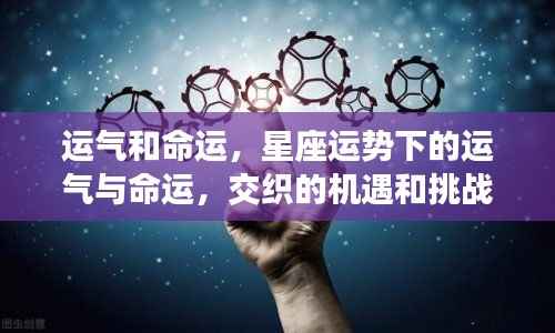 星座运势与命运交织,机遇与挑战的交织缘分