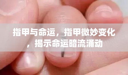 指甲微变揭示命运暗流涌动,命运与指甲的微妙关联