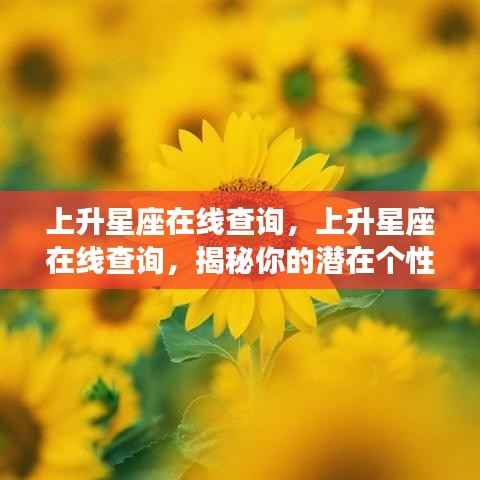 揭秘潜在个性特征,上升星座在线查询工具助你探索自我身份