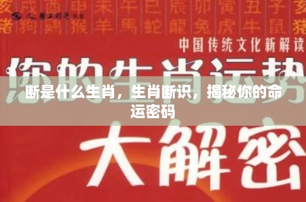 揭秘生肖断识，探寻命运密码与生肖断之奥秘