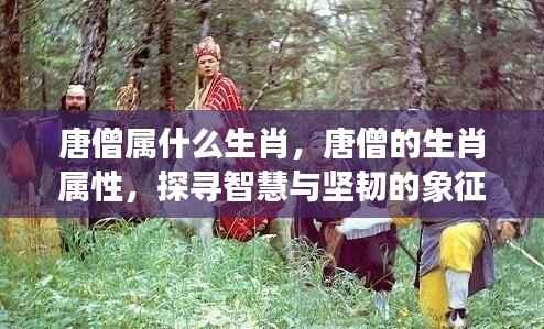 唐僧的生肖属性揭秘,智慧与坚韧的象征探索