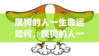 属狗人的命运深度解析,一生运势与案例洞察
