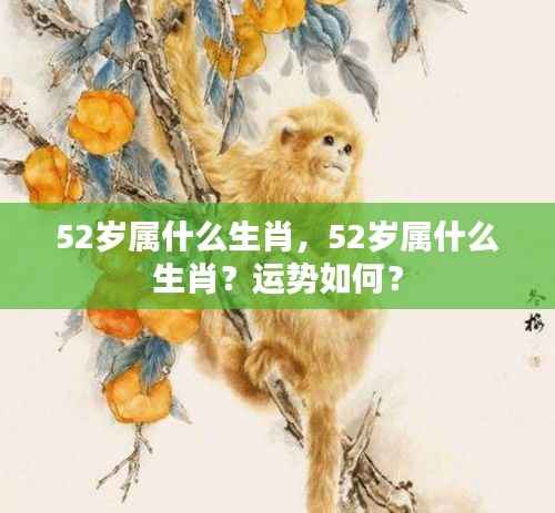 52岁属相生肖解析与运势展望