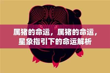 衣不重采 第5页