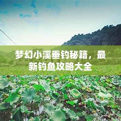 梦幻小溪垂钓秘籍，最新钓鱼攻略大全