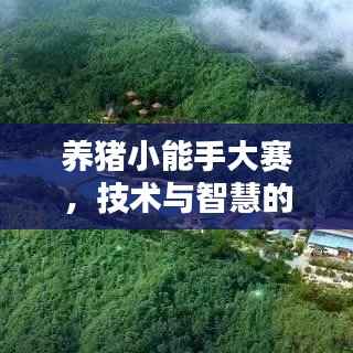 养猪小能手大赛，技术与智慧的巅峰对决！