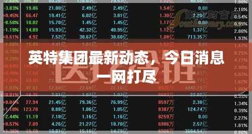 英特集团最新动态,今日消息一网打尽