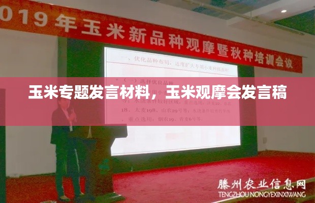 玉米专题发言材料,玉米观摩会发言稿