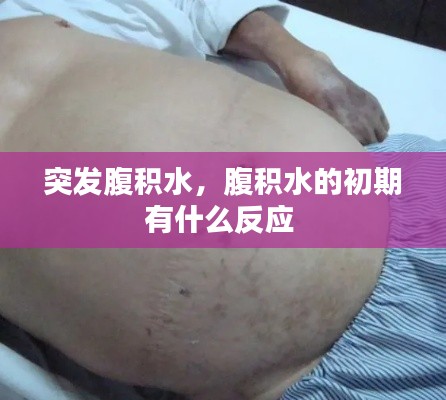 展翅高飞 第5页