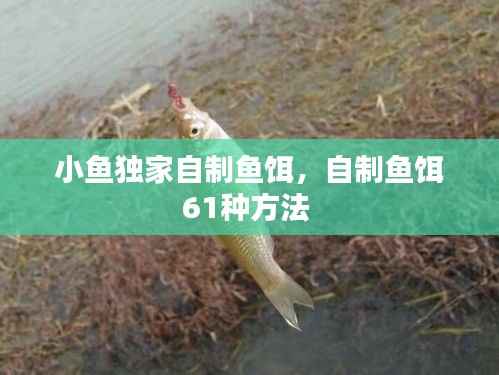 小鱼独家自制鱼饵,自制鱼饵61种方法