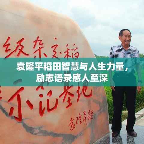 袁隆平稻田智慧与人生力量,励志语录感人至深