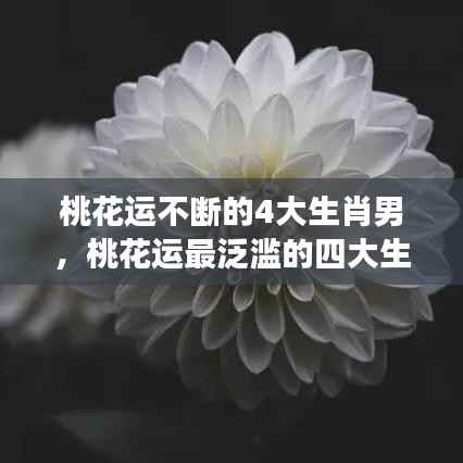 桃花运不断的4大生肖男,桃花运最泛滥的四大生肖女