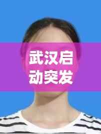 武汉启动突发事件，今天中午武汉突发事件 