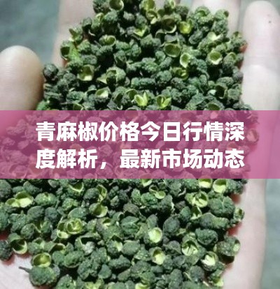 青麻椒价格今日行情深度解析，最新市场动态，不容错过！