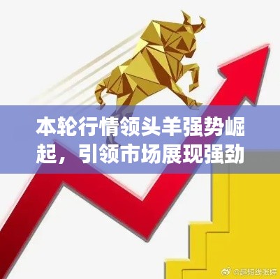 本轮行情领头羊强势崛起，引领市场展现强劲风采！