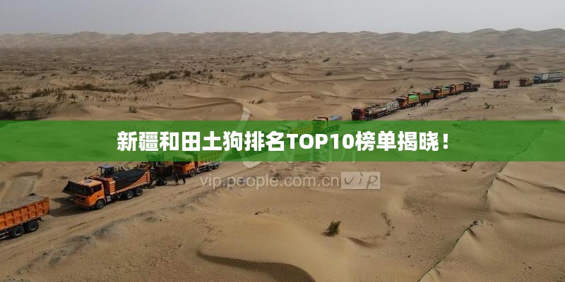 新疆和田土狗排名TOP10榜单揭晓!